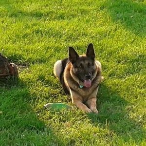 Meet your Posher, Tina